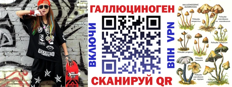 дарк нет официальный сайт Славгород Псилоцибиновые грибы прущие грибы ОМГ ОМГ ONION