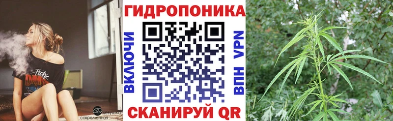 Каннабис планчик  MEGA ССЫЛКА  Славгород 